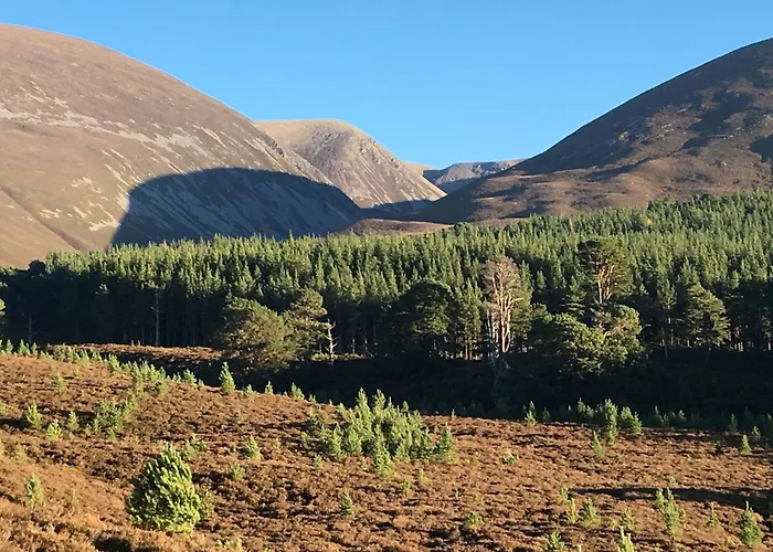 Glenfeshie Hostel