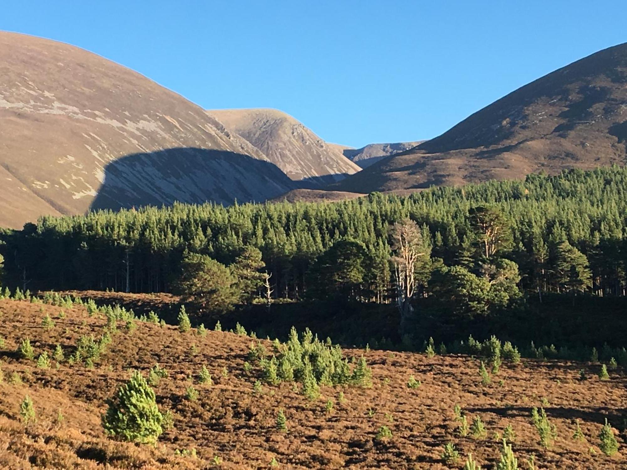 Glenfeshie *