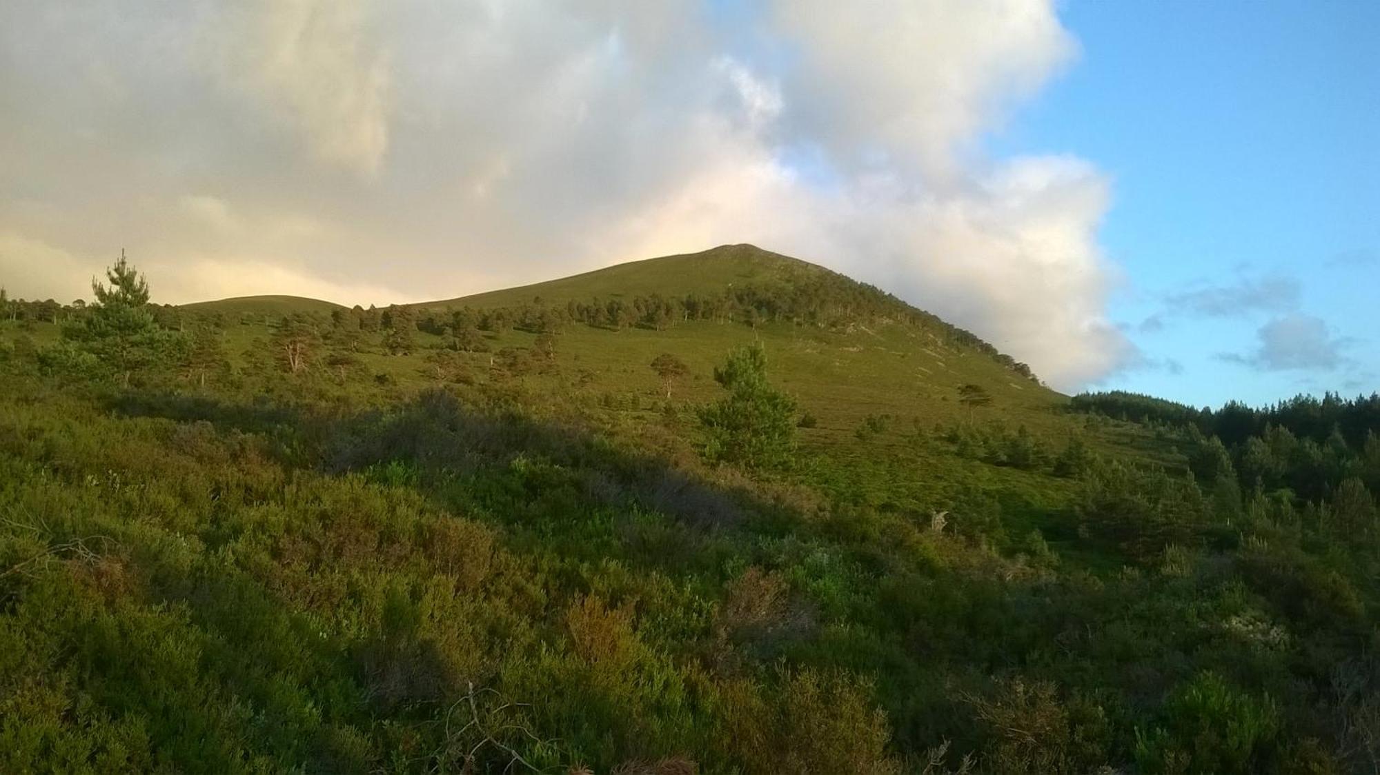 Glenfeshie
