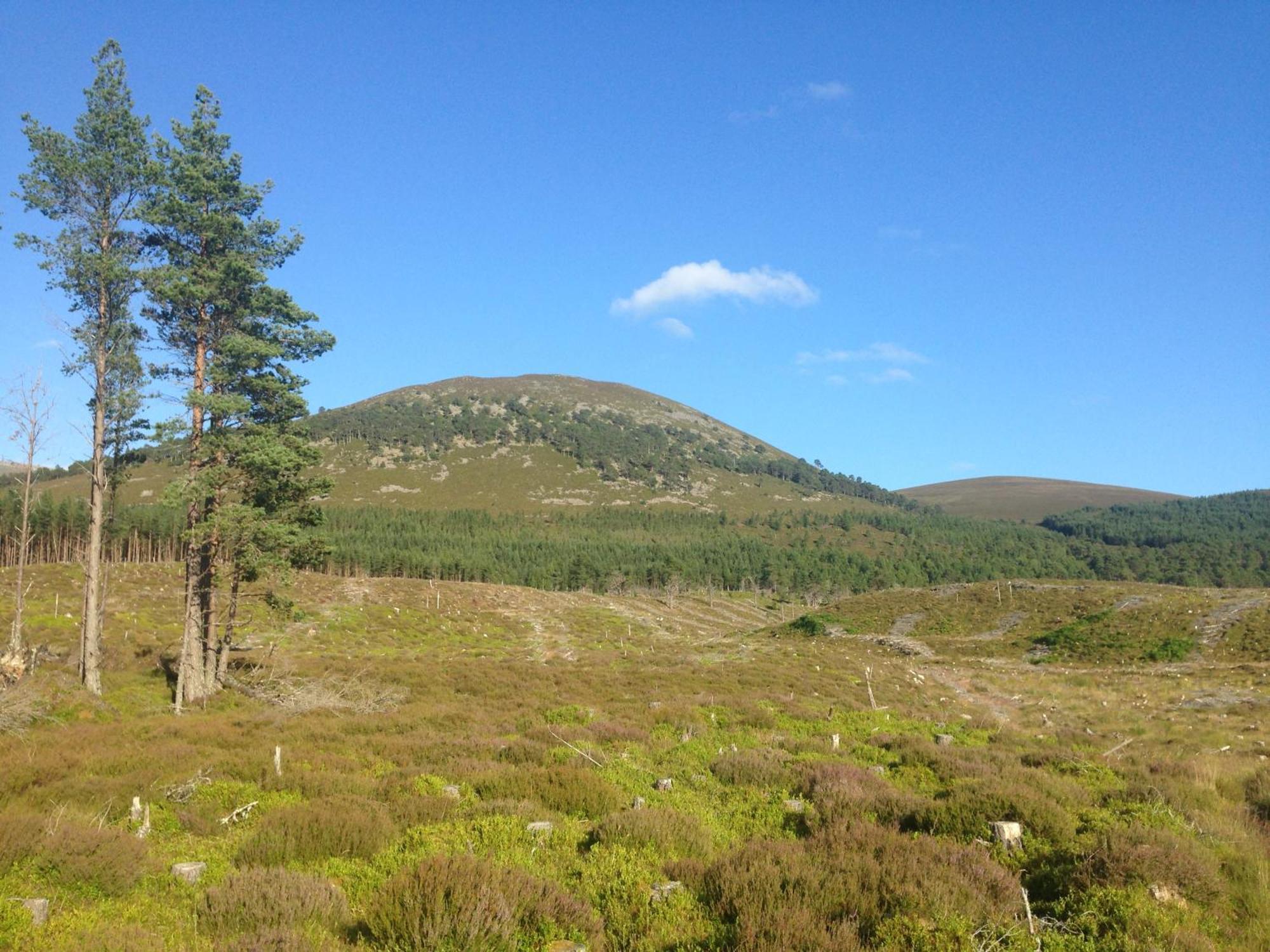 Holiday home Glenfeshie Insh